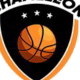 https://img.ebooklizard.com/img/basketball/team/3e0ac06c185815ae6f48fe4f21fc5aeb.png